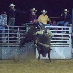 Meet your Posher, Rickie